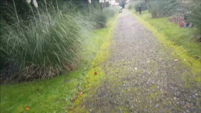 Alphaninja7's countryside clip by Verified Amateurs