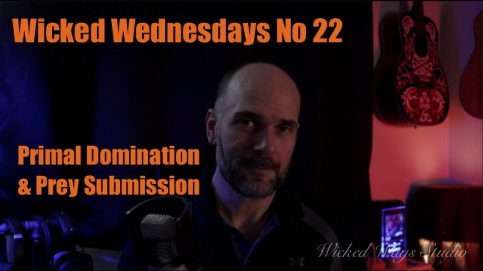 Fine-looking Wicked Fellow - bdsm education scene - Verified Amateurs Free Porn Videos | BestPornHubs.