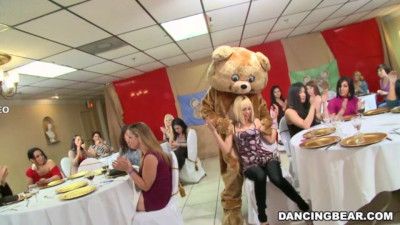 Dancingbear trailer with rosy gill from Dancing Bear